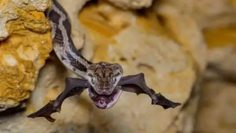 Fernando Constantino Martínez gana concurso internacional de fotografía