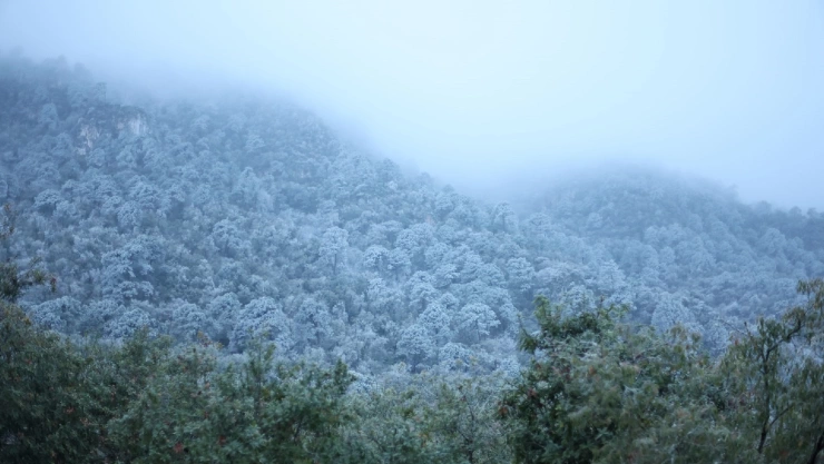 Caída de aguanieve en parque Chipinque Nuevo León