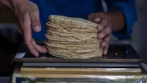 Este es el costo del kilo de tortilla durante marzo en México