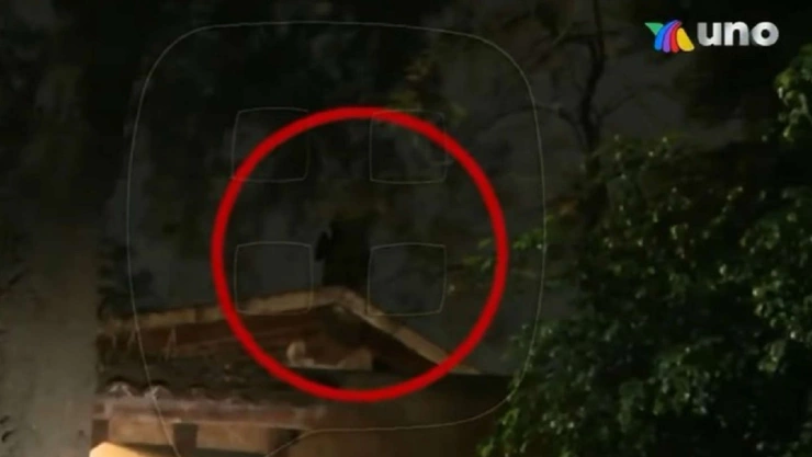 fantasma de talina fernández