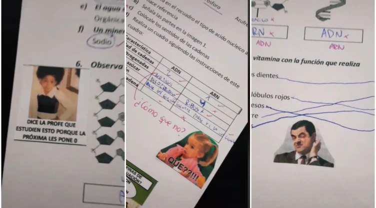 maestra-memes-alumnos