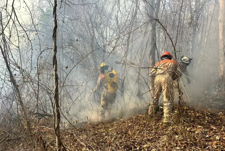 Incendio Cerro Mctumatza