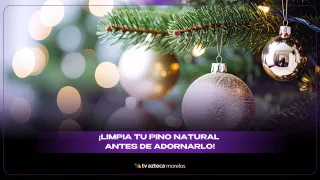 CÓMO LIMPIAR UN ÁRBOL DE NAVIDAD NATURAL.jpg