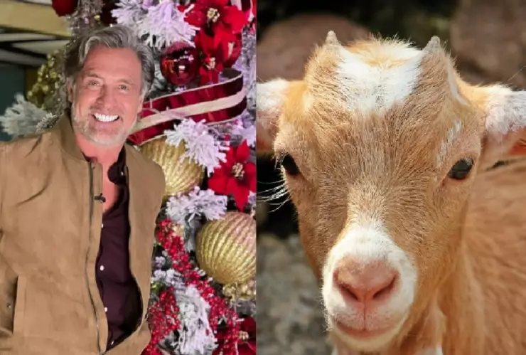 por qué juan soler es tendencia juan soler sexo cabra