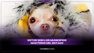 EL LUGAR MÁS FRÍO DE MORELOS.jpg