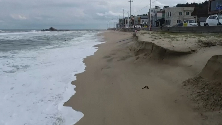 playa cambio climatico corea del sur