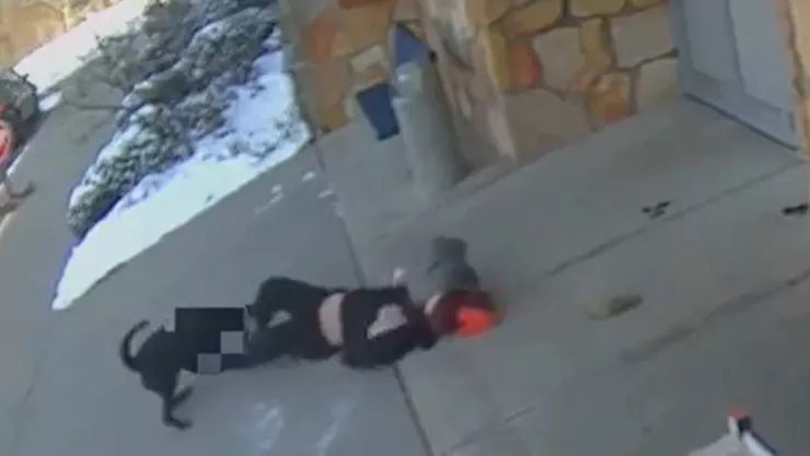 VIDEO FUERTE Madre iba a dejar a sus niños a la escuela y fue BRUTALMENTE ATACADA por un perro de raza peligrosa.jpg