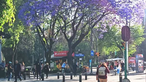 clima de hoy 6 de mayo.jpg
