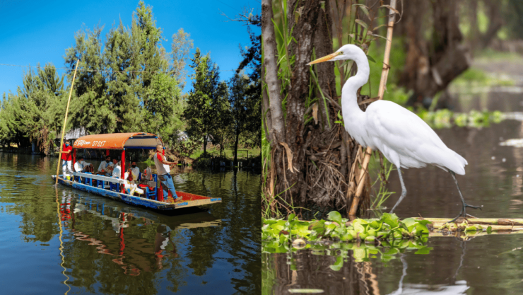 Así se verán los canales de Xochimilco en los próximos 100 años, según la IA.png