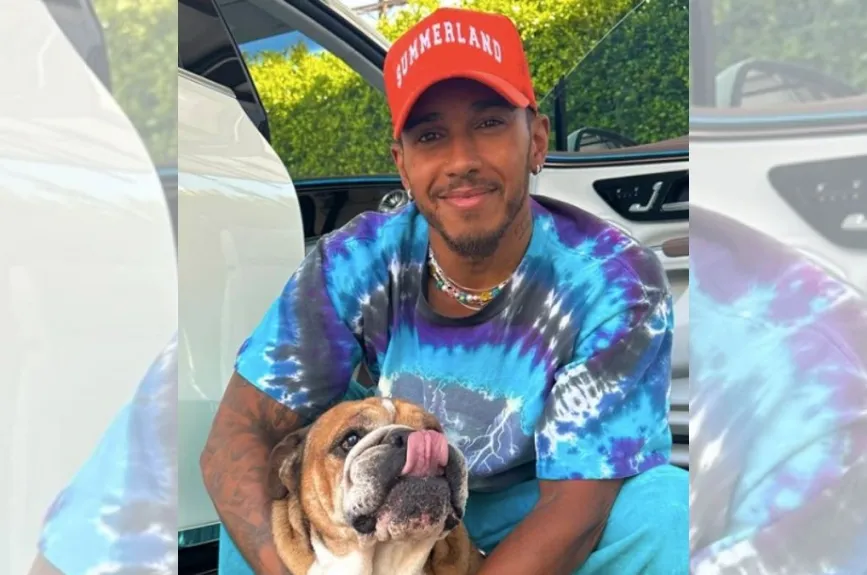 Lewis Hamilton (3).jpg