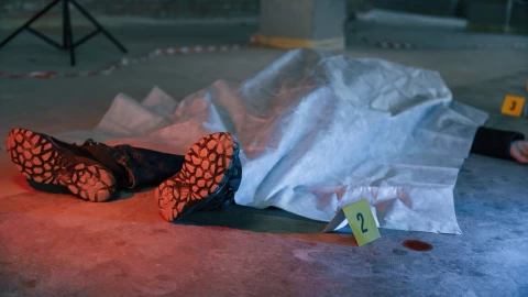 Cuerpo abandonado en camino de terracería en Mesa de Medina, León, 19 de enero de 2025.png