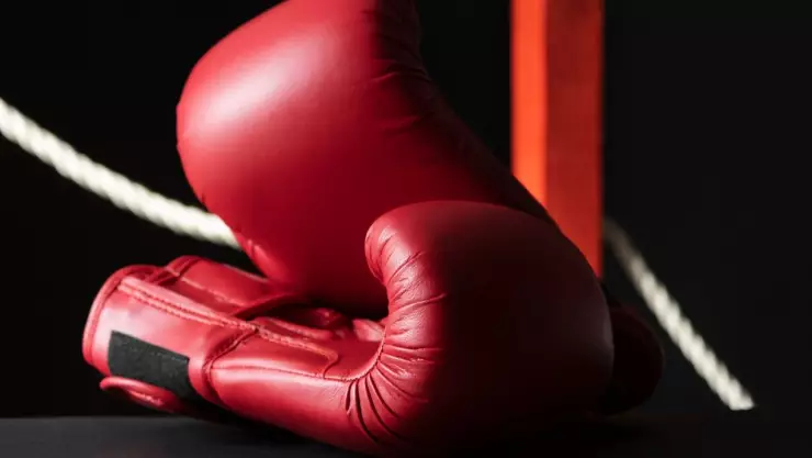 Guantes de boxeo