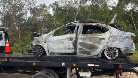 Violencia en México