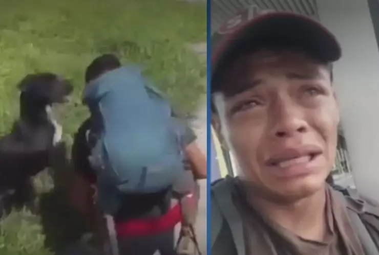 Perro migrante en Monterrey