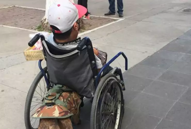perrito pastor belga ayuda a su dueño en silla de ruedas a cruzar la calle en ecatepec.jpg