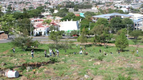 Por qué es importante el Cerro de la Reina para el ecosistema de Tonalá