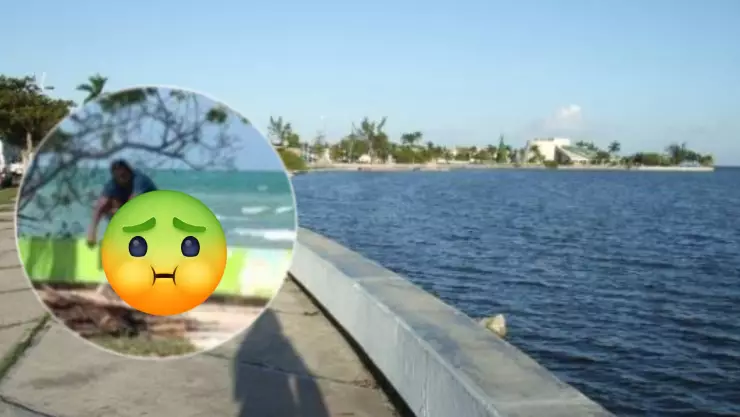 ¡Asco!🤢Captan a hombre IRRESPONSABLE y SUCIO haciendo sus ‘necesidades’ en pleno malecón