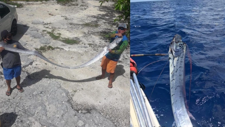 pez remo capturado en Cozumel d&iacute;as antes del sismo