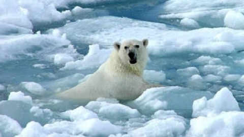 calentamiento global