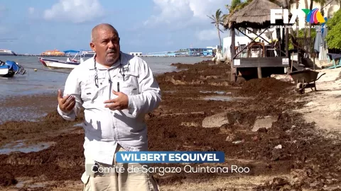 “El presidente (AMLO) le asigna el problema a la Secretaría de Marina equivocadamente”, señala Wilbert Esquivel, miembro del Comité de Sargazo de Quintana Roo