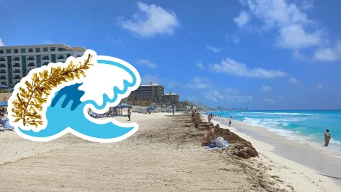 Playas libres de sargazo en Quintana Roo HOY 22 de junio de 2025_ Lista desde Holbox, Cancún y hasta Tulum.jpg