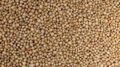 Mejor fertilizante plantas