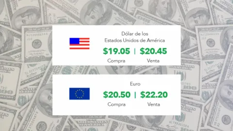 Precio del dólar y del euro hoy miércoles 19 de marzo: Así está el tipo de cambio en México