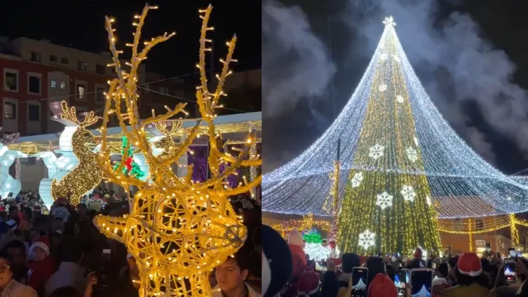 Así se vivió el encendido del árbol de Navidad en Aguascalientes 2024 (VIDEO)