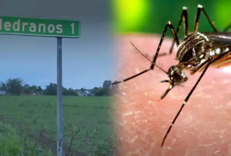 ¿Dónde hay mayor cantidad de casos de dengue, en Guanajuato?