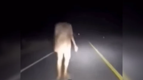 Fantasma sin cabeza.png