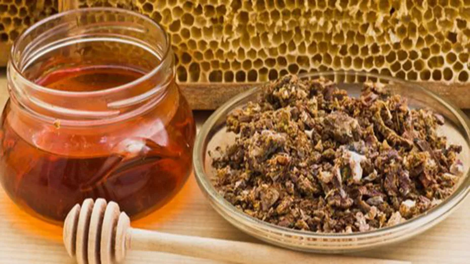 Preparan enjuague bucal a base de propóleo para combatir caries en comunidades indígenas_UNAM-DGCS.jpg