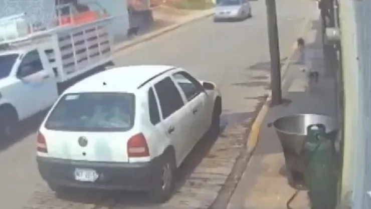 Hombre arroja a perro a cazuela con aceite.