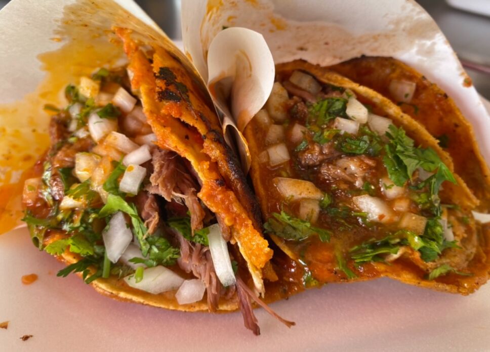 Tacos de birria