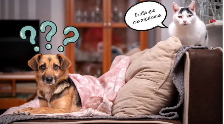 registrar mascota RUAC