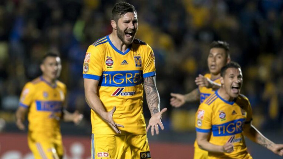 Tigres