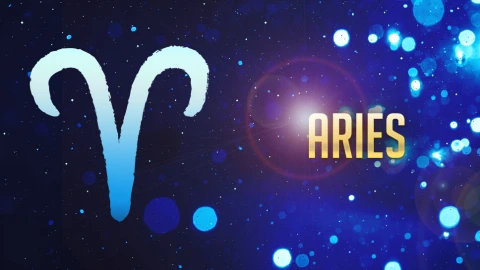 aries-hrscps-a022.jpg