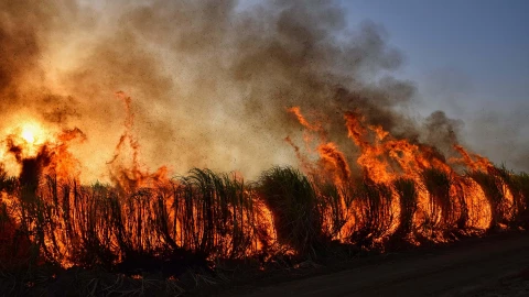 ¿Cuántos incendios se encuentran activos en México?
