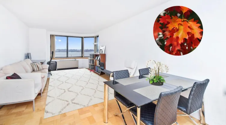 /estilo-de-vida/decora-comedor-colores-otono-feng-shui