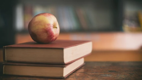 megapuente escolar 2023-2024