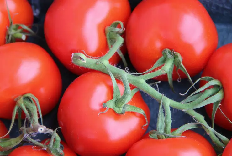 Tomates