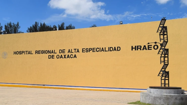 hongo negro Oaxaca.jpg