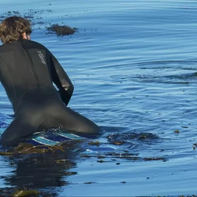 Postal de la misteriosa criatura que invadió una playa de California