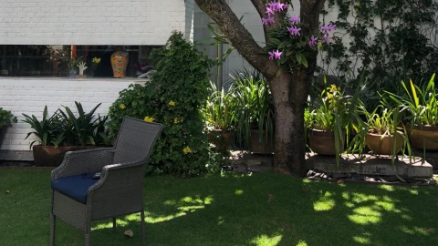 El jardín de la casa.jpeg