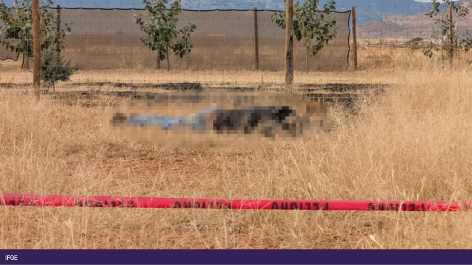 Diseño sin título.png