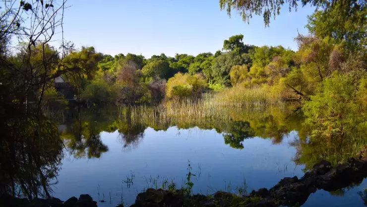 laguna en morelos.jpg