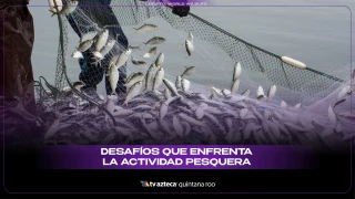 Desafíos que enfrenta la actividad pesquera