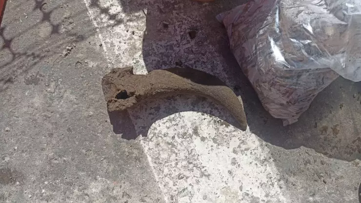 huesos centro historico veracruz.