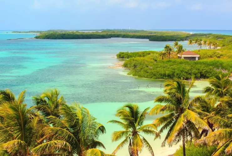 Isla Contoy en Quintana Roo deslumbra con playas vírgenes y aguas turquesa, casi sin sargazo.