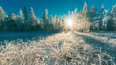 ¿Aguascalientes tendrá el invierno más frío que en otros años este 2025 Lo que dice el pronóstico
