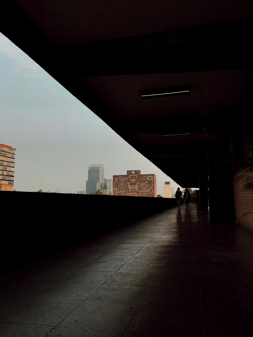 Liliana Navarrete_National Award_Winner_Mexico-2020-Sony_World_Photography_Awards.jpeg